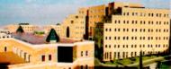 Yeditepe Üniversitesi