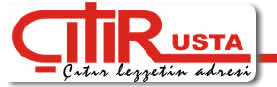 citir usta