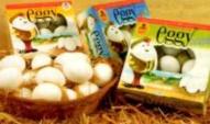 eggy