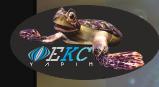 ekc