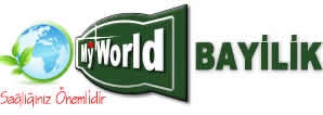 myworld1