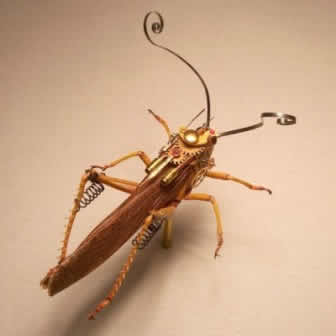 sgrasshopper8