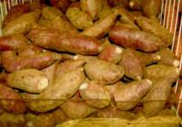 tatli patates