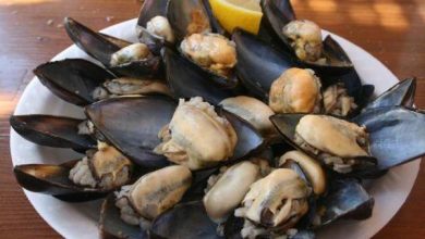 Mussel House