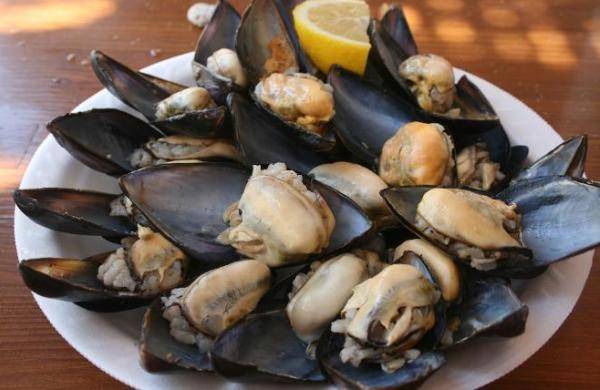 Mussel House