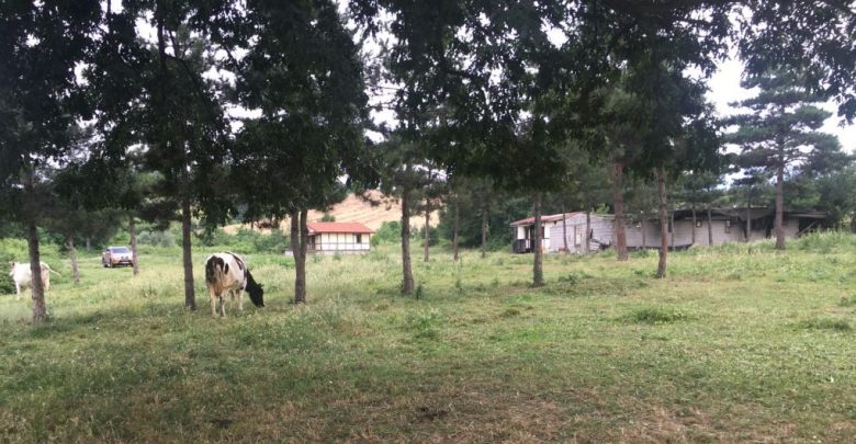 satilik ciftlik