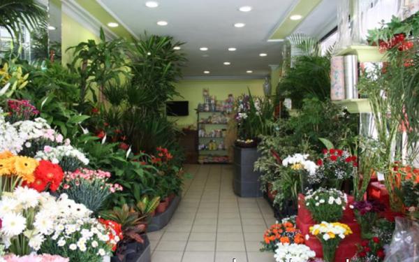 cicekci dukkani acmak