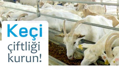 keci ciftligi