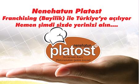 Nenehatun Platost