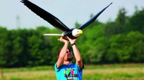 Robird Robot Yirtici Kus