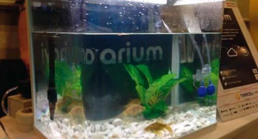 ivarium