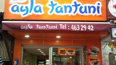 Ayla Tantuni
