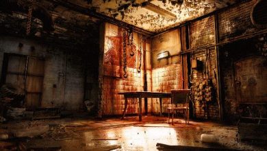 The Victim İle Evden Kaçış Oyunları Bayiliği 47 The Victim