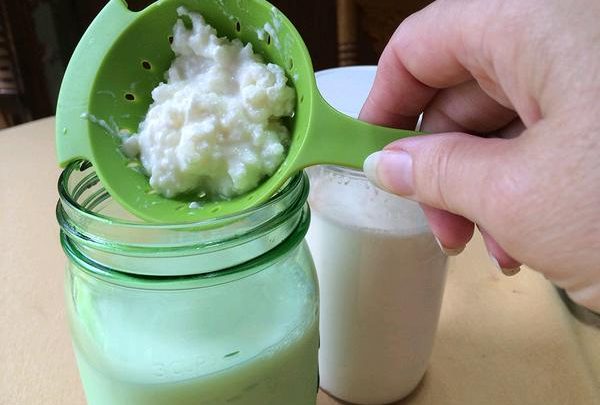 evde kefir