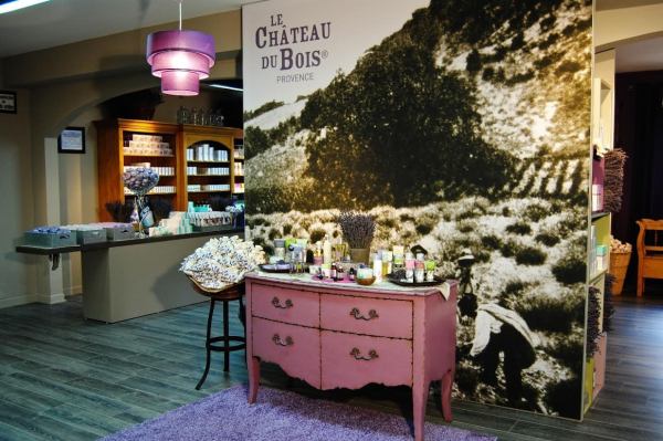 Le Chateau du Bois