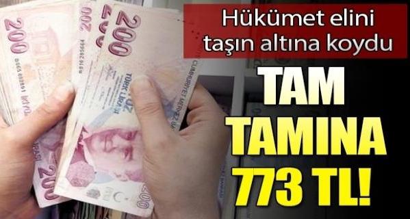 isverene 773 TL destek