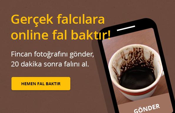 online fal