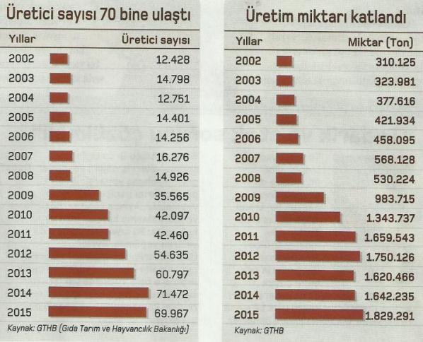 organik tarim uretici sayisi