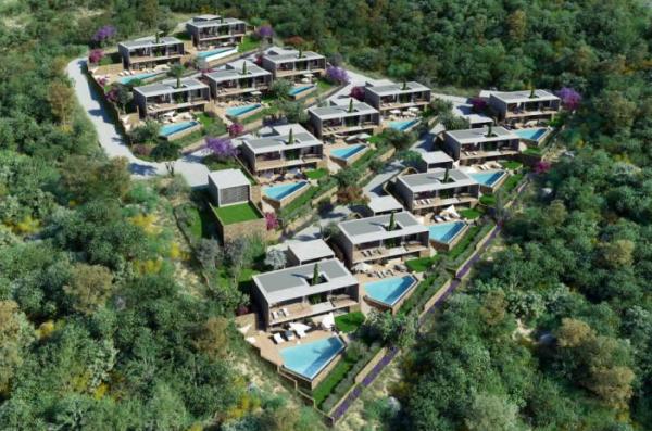 Jacaranda Estate projesi