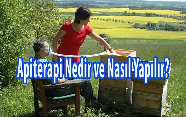 apiterapi nedir