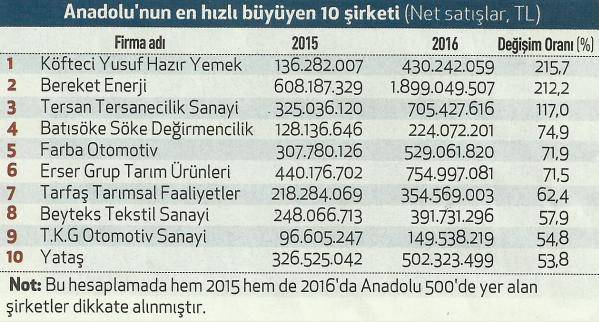 anadolunun en hizli buyuyen 10 sirketi