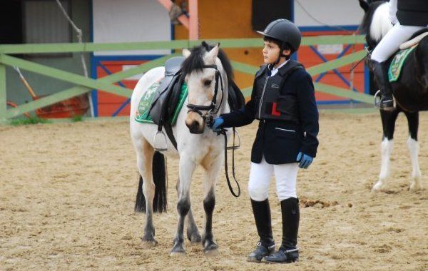pony at 2
