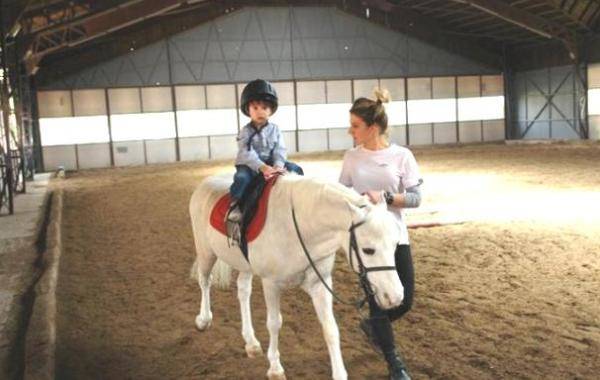 pony at