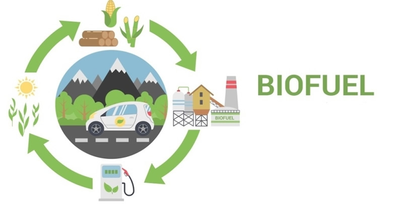 Biofuel yakıt iş fikri