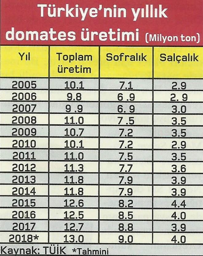 domates uretimi