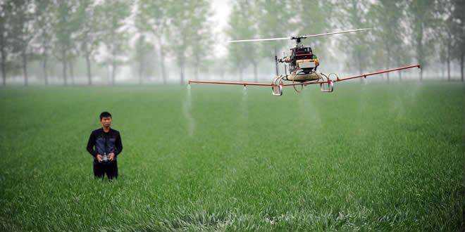 tarimda dron