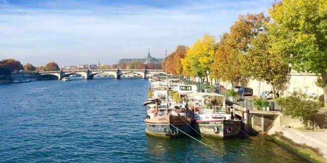 Seine Nehri