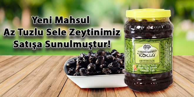 koklu zeytincilik