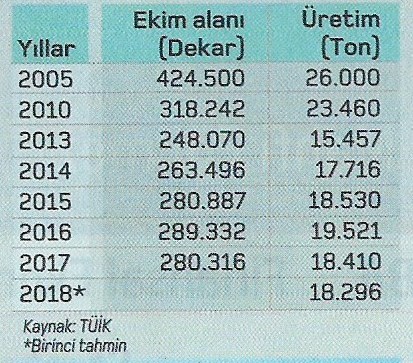 susam ekim alanlari