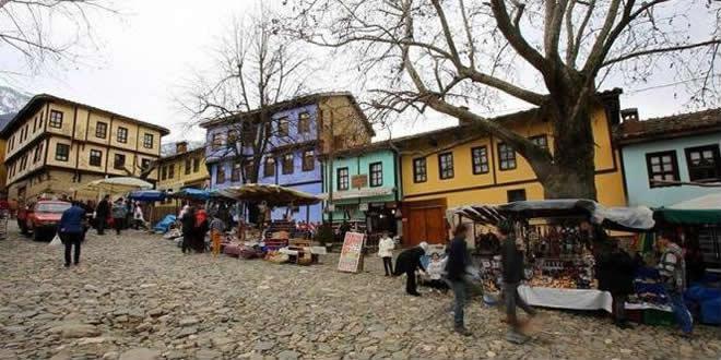 bursa