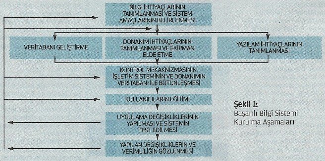 kobii 1