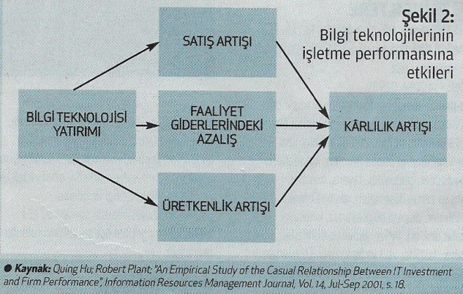kobii 3