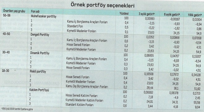 ornek portfoy