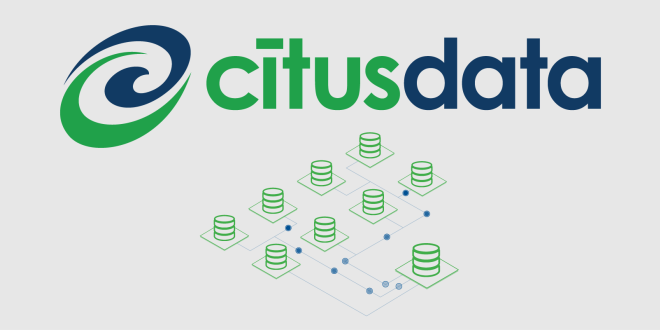 citus data basari hikayesi
