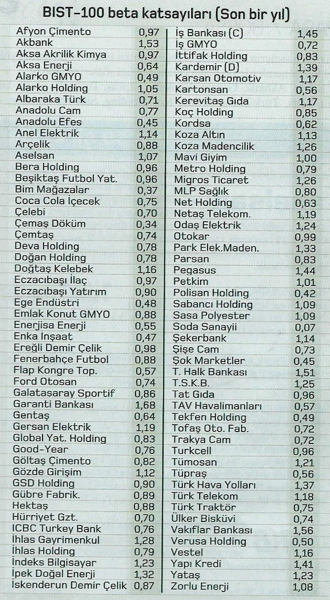 bist 100 beta katsayilari