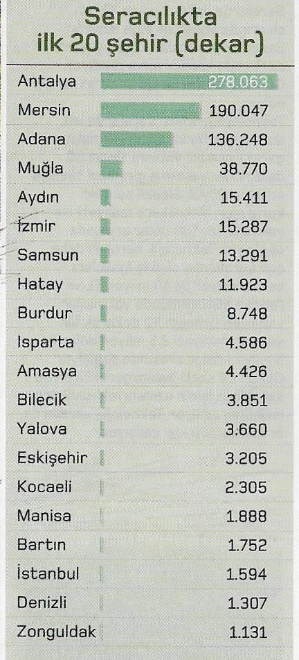 seracilikta ilk 20 sehir