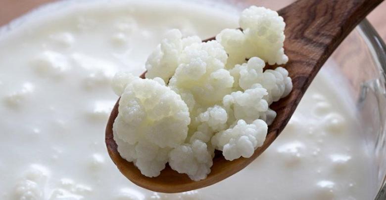 kefir