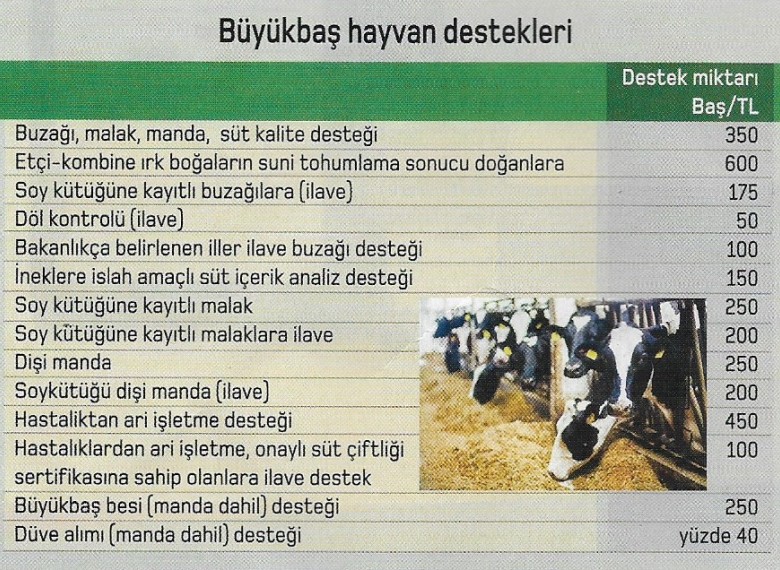 buyuk bas hayvan destekleri