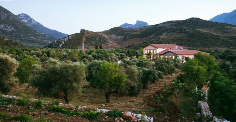 kocamaar ciftlik