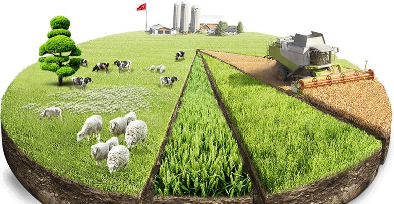 tarim ve hayvancilik