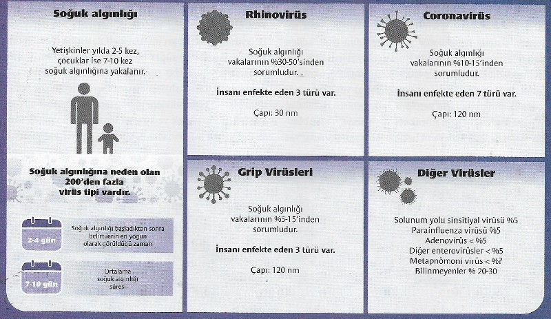 virus turleri