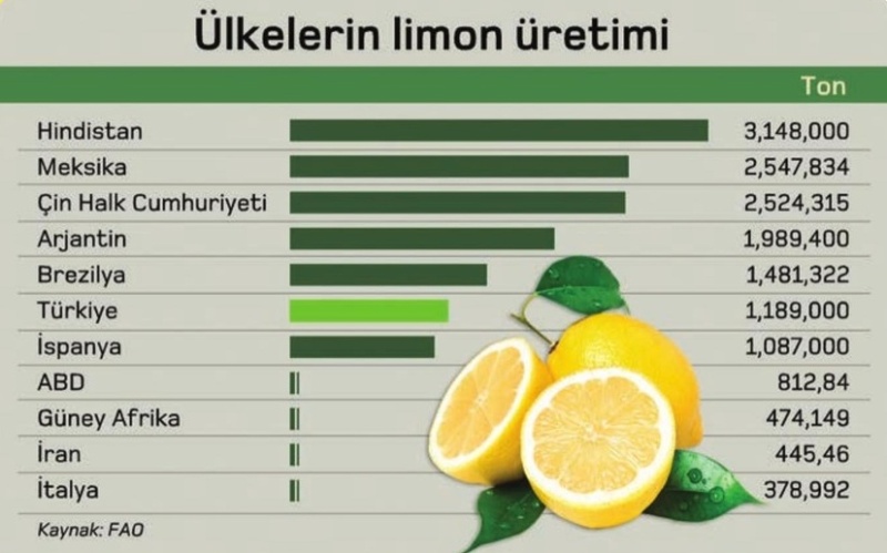 Limon Üreticileri
