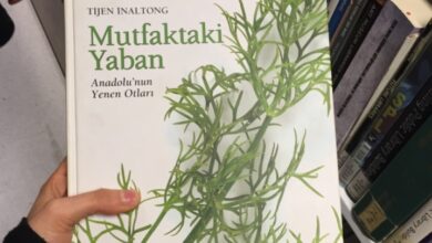 Mutfaktaki Yaban Anadolunun Yenen Otlari
