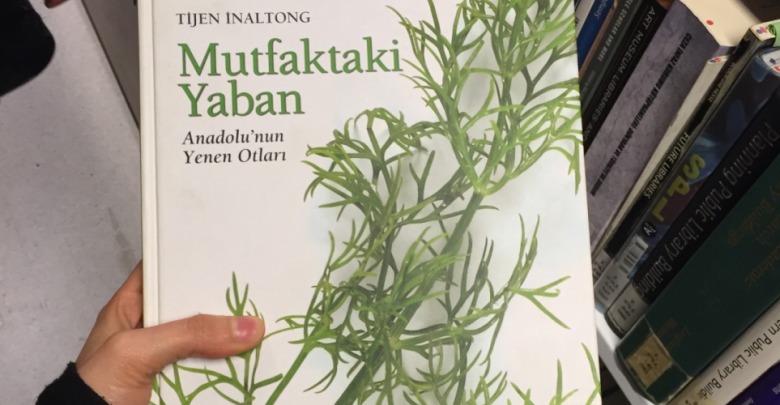 Mutfaktaki Yaban Anadolunun Yenen Otlari