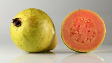 Guava Yetiştirciliği 15 Guava