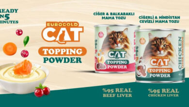 Kaya Pet Bayilik Veriyor 49 Kaya Pet